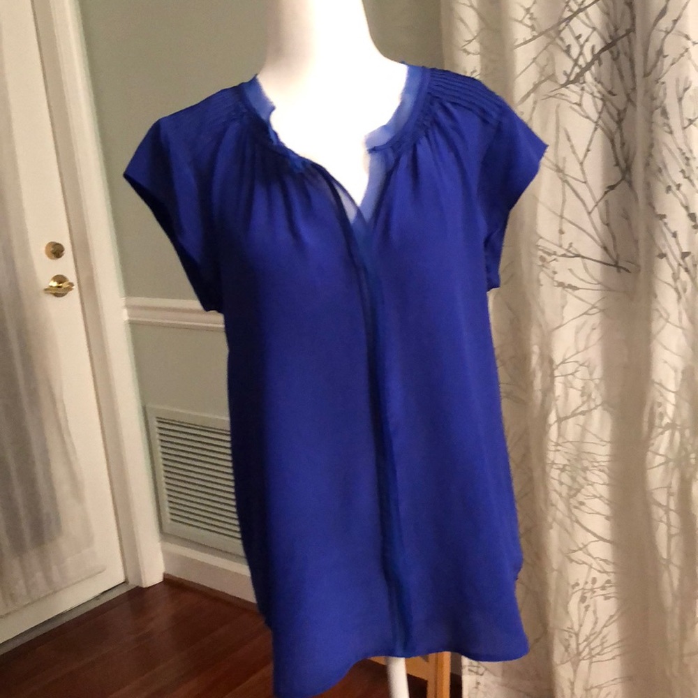 NWT cobalt blue Daniel Rainn cap-sleeved blouse